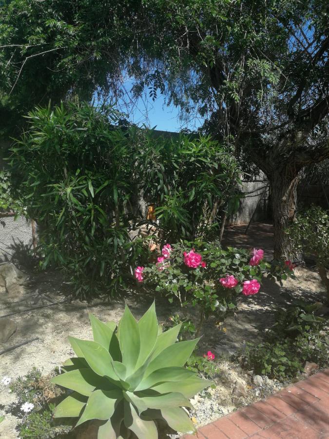 Finca San Diego, villa entera para ti Vallonga Bagian luar foto
